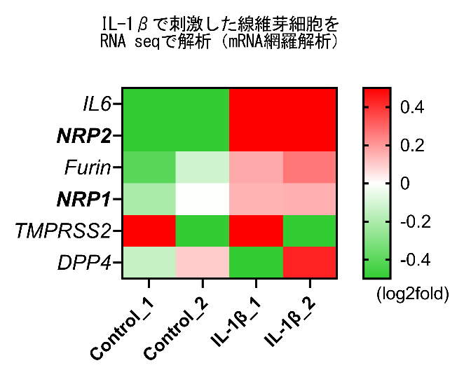 図1
