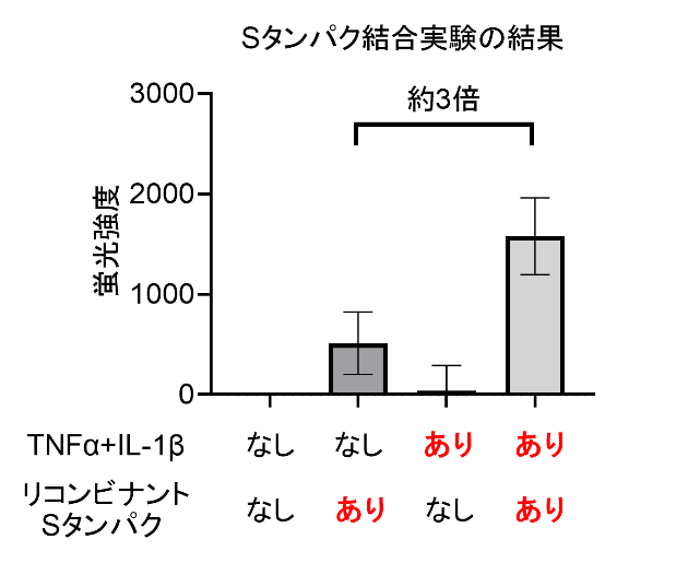 図2